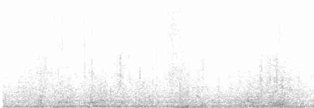 Dark-bellied Cinclodes - ML598540761