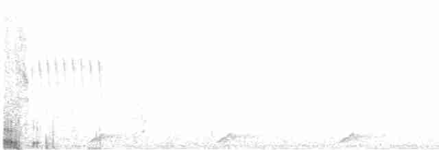 Stachelschwanzschlüpfer - ML598548511