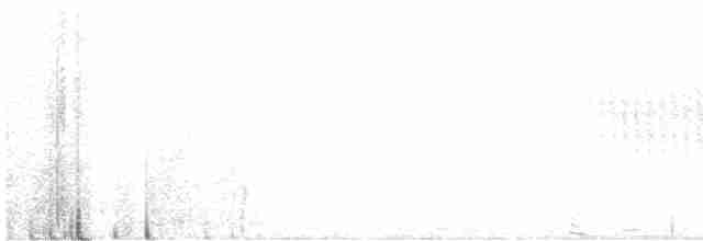 Stachelschwanzschlüpfer - ML598548541