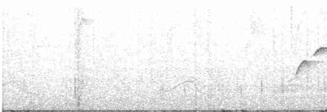 Batı Amerika Sinekkapanı (occidentalis/hellmayri) - ML598549221