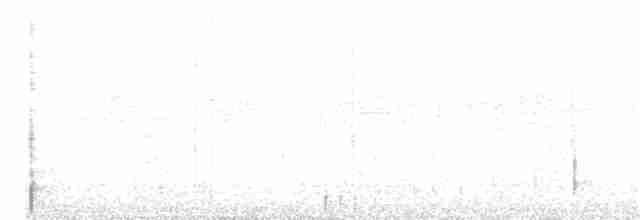 Kara Boyunlu Orman Leyleği - ML59855861