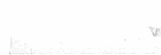 Cerulean Warbler - ML59858681