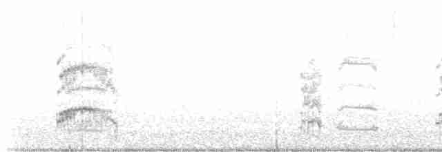 White-tailed Ptarmigan - ML598591311
