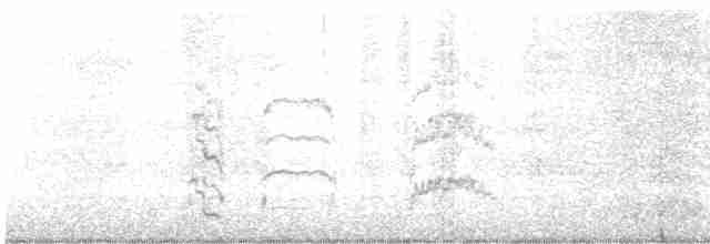 Lagopède à queue blanche - ML598591321