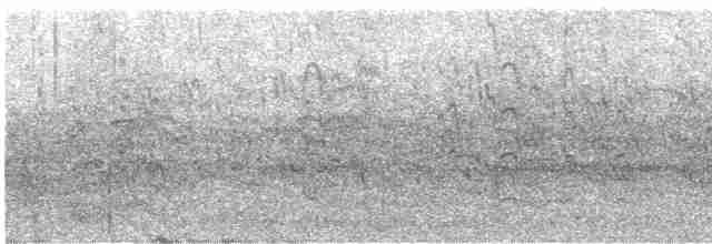 Common Tern - ML598604161