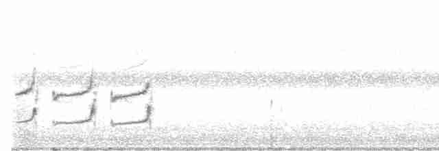 Uzun Kanatlı Kumkuşu - ML598624761