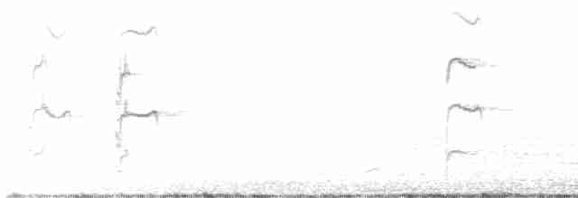 strakapoud bělohlavý - ML598650591