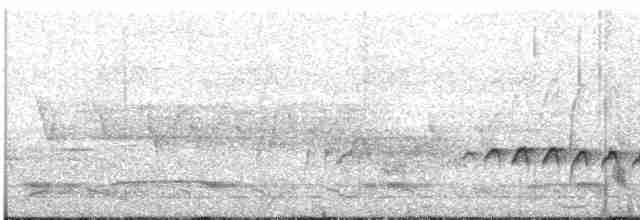 Rostrücken-Ameisenvogel - ML598689381