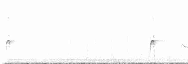 Американский бекасовидный веретенник - ML598698561