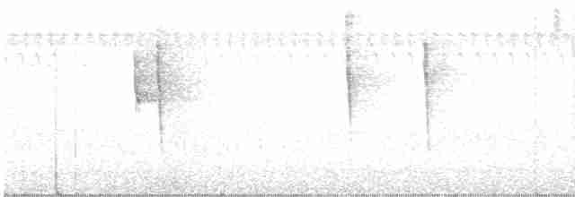 Paruline vermivore - ML598775291