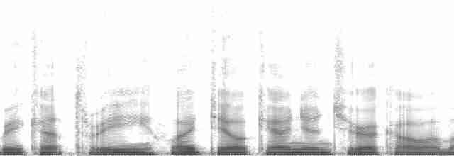 Серогрудый тиранн - ML59878