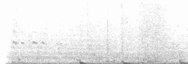 Arctic Tern - ML598804161