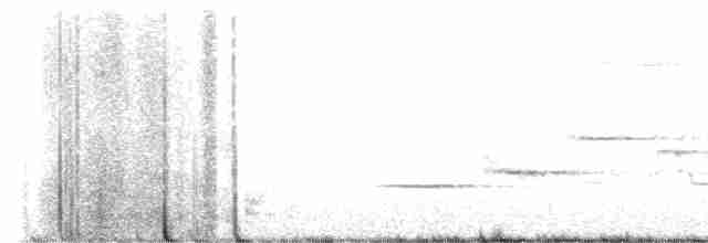 Дрізд-короткодзьоб плямистоволий - ML598832141