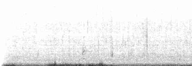svartkronestylteløper (mexicanus) - ML598844371