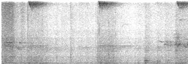 Черноухий колибри - ML598865881