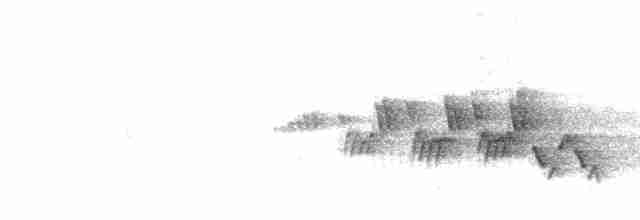Черногорлая хвойница - ML598895251