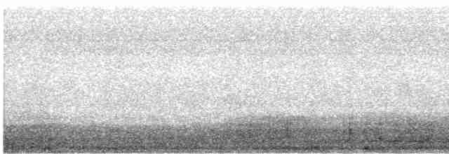 Патагонский мухолов - ML598908161