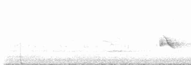 斑文鳥 - ML598911871