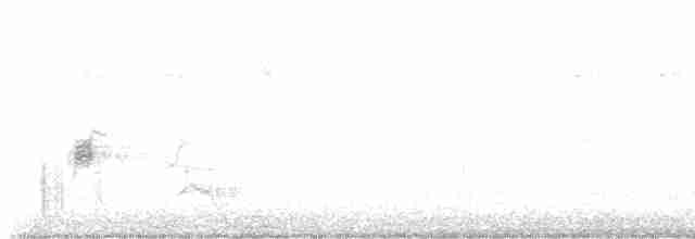 斑文鳥 - ML598911881