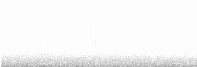 Колібрі-плямохвіст андійський - ML598940161