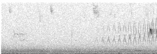 Damalı Sepetören [sclateri grubu] - ML598940581