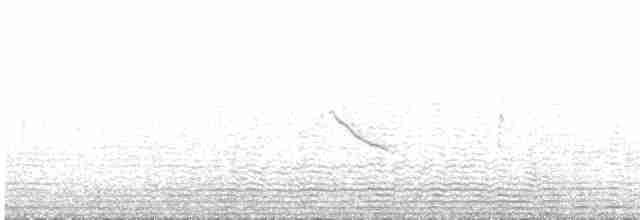 Colibri vesper - ML598942051