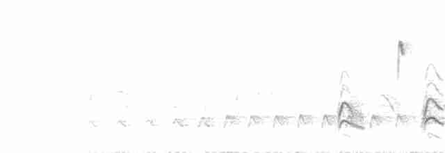slavík obecný (ssp. golzii) - ML599054101