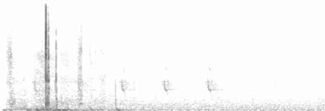 Southern White-fringed Antwren - ML599089261