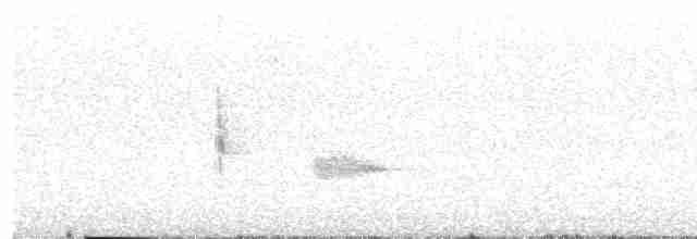 Піранга кармінова - ML599101011