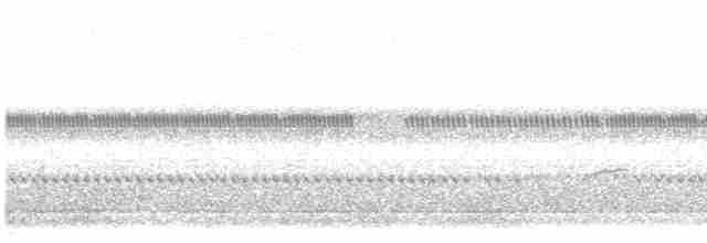 Дрізд-короткодзьоб Cвенсона - ML599102921