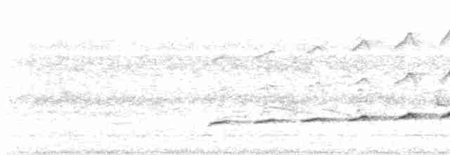 Fork-tailed Drongo-Cuckoo - ML599121241