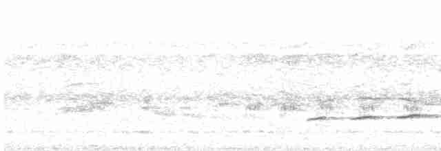Вилохвостая дронговая кукушка - ML599121251