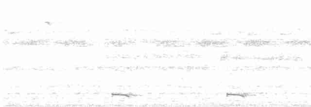 灰腳秧雞 - ML599125851