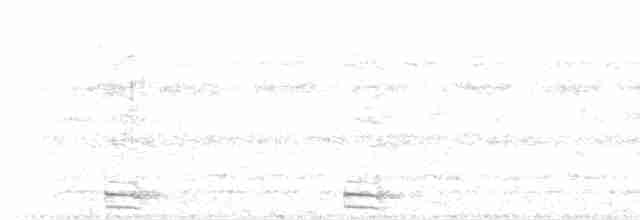 灰腳秧雞 - ML599125861