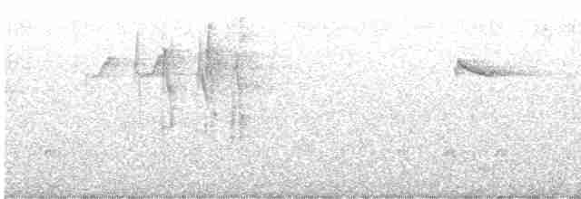 オーストラリアゴジュウカラ（striata） - ML599139521