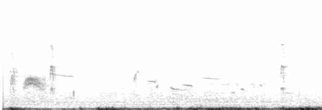 Серогрудый тиранн - ML599151121