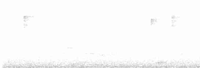 Oriole cul-noir - ML599160971