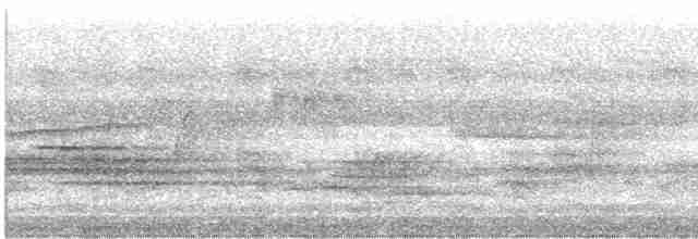 Канюк неоарктичний (підвид borealis) - ML599161681