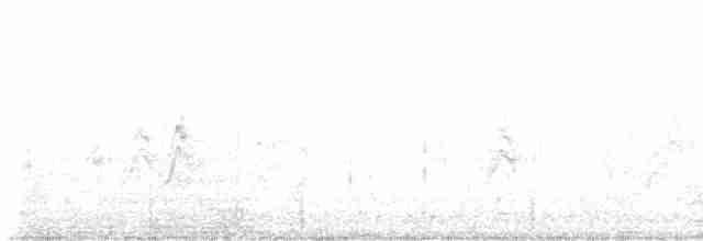 Кривоклювый пересмешник - ML599180161