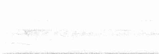 Graubrust-Ameisendrossel - ML599188231