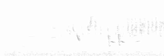 Western Subalpine Warbler - ML599220671