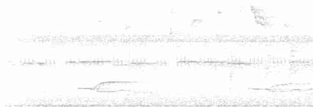 Lance-tailed Manakin - ML599226211