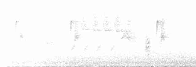 チビメジロハエトリ - ML599245201