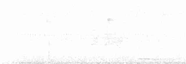 Gray-headed Tanager - ML599250821