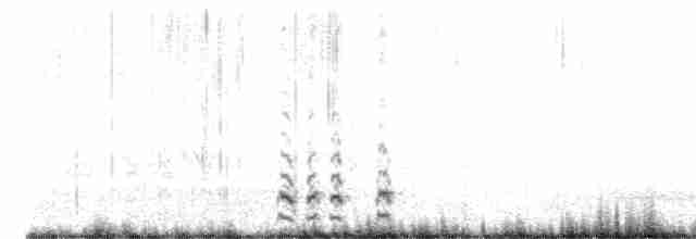 White-tailed Ptarmigan - ML599271021