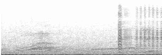サクラボウシインコ（caymanensis／hesterna） - ML599271561