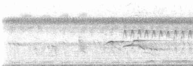 Fork-tailed Sunbird (Fork-tailed) - ML599306031