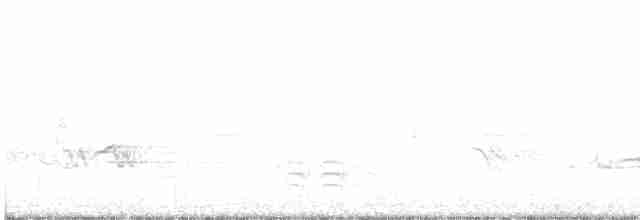Weißbrustkleiber - ML599319711