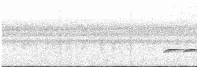 Желтобровый сорокопутовый виреон - ML599323051