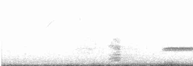 Скрытохвост татаупа - ML599328501